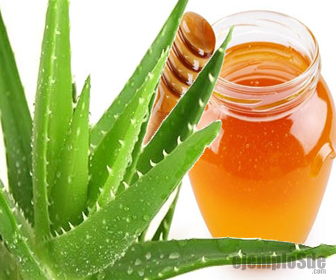 Miel de Agave